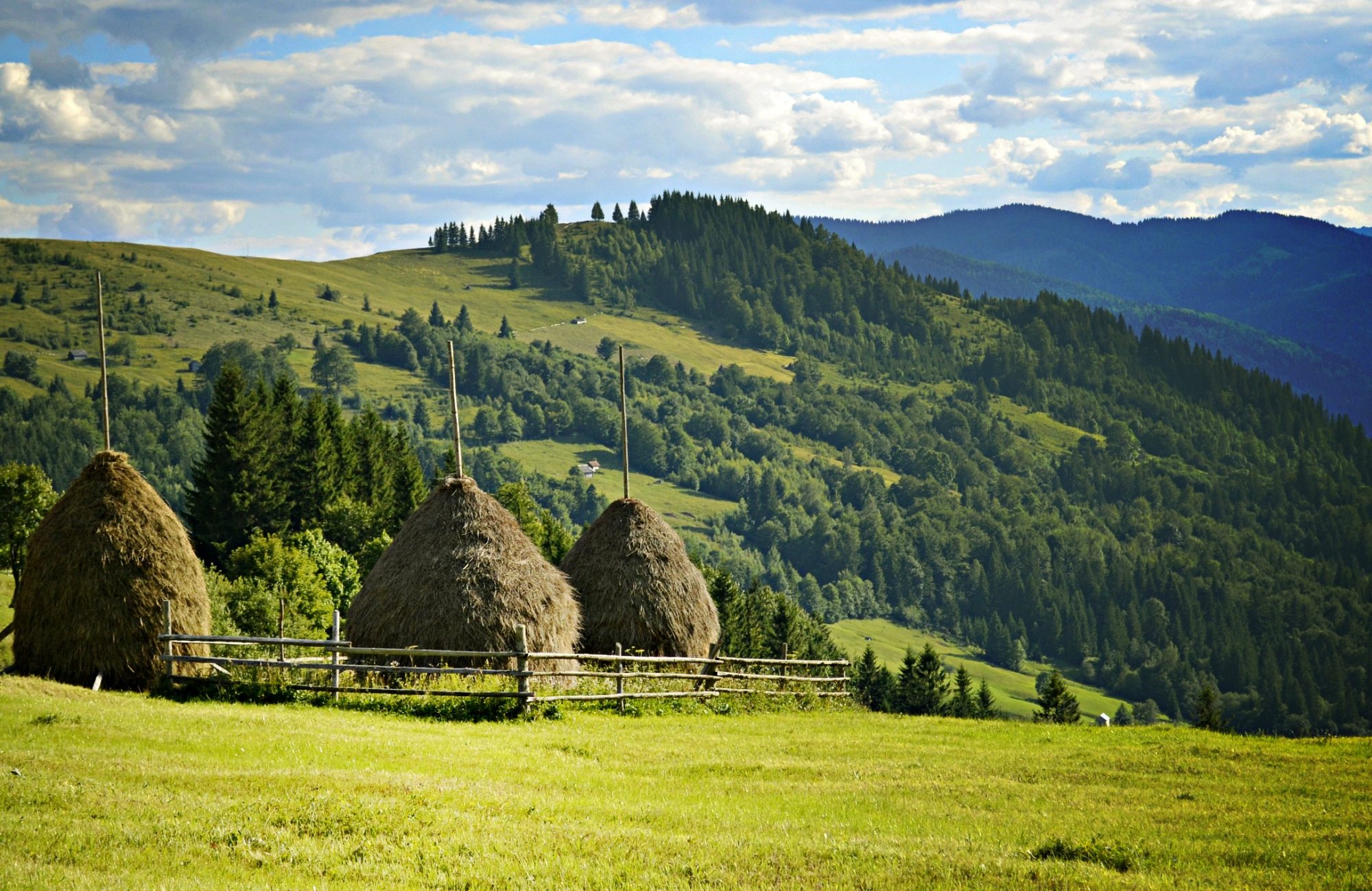 Яворівський національний природний парк – Яворівський національний ...